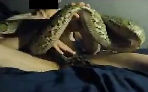 bestiality, zoophilia videos